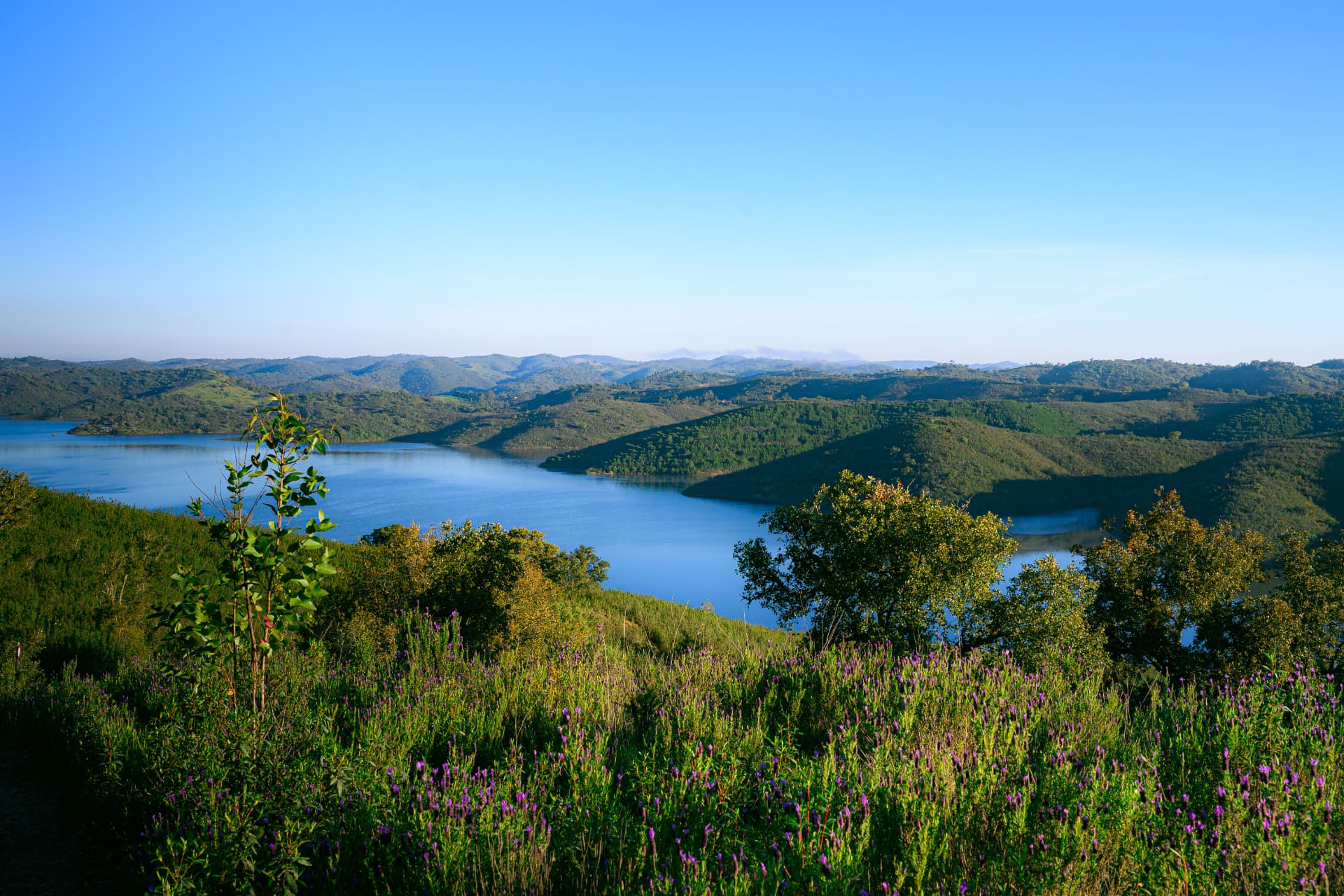 The lake and valley in spring, seen from the ridge above camp