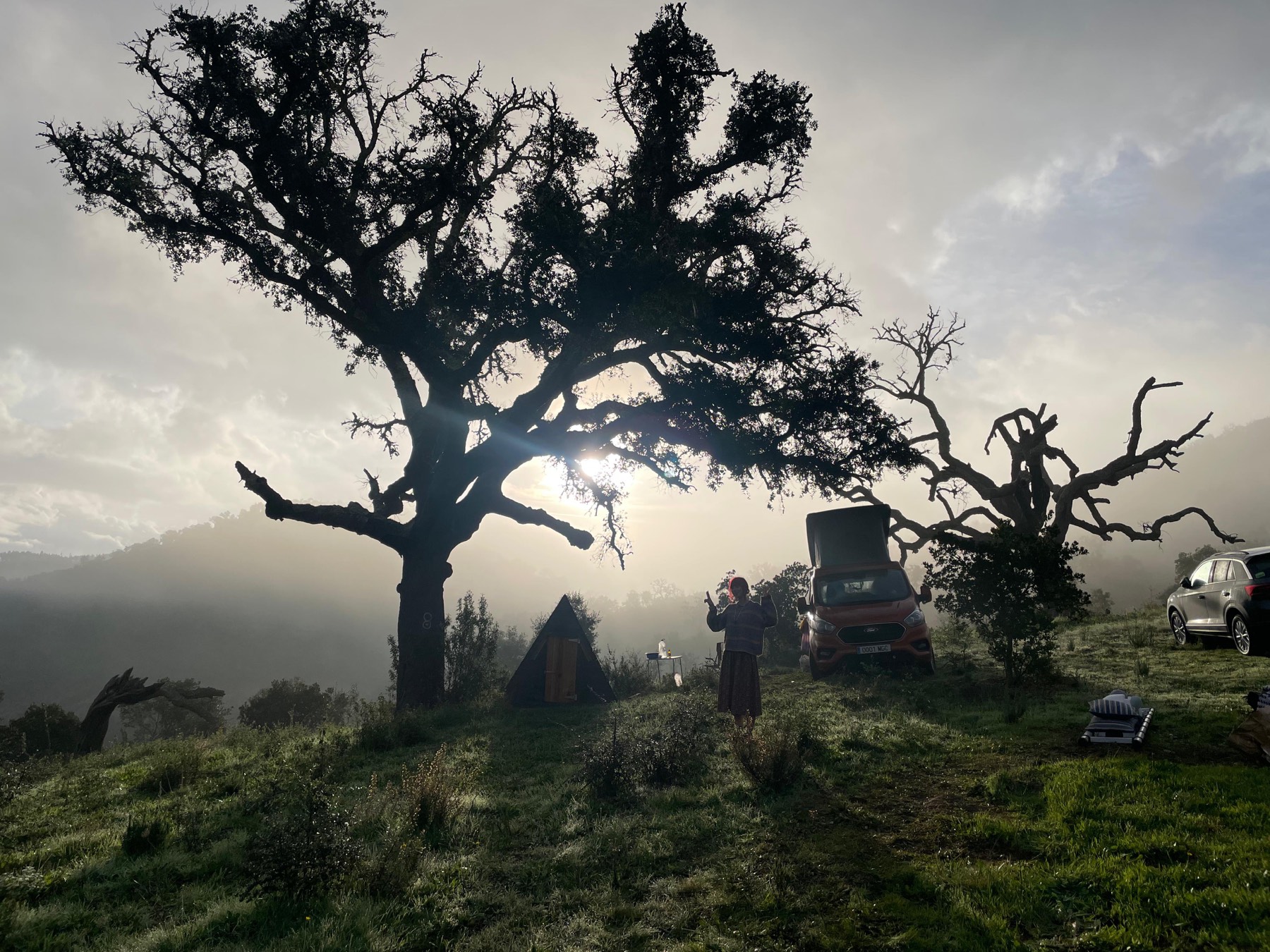 Oaks on the ridge, with camp below.