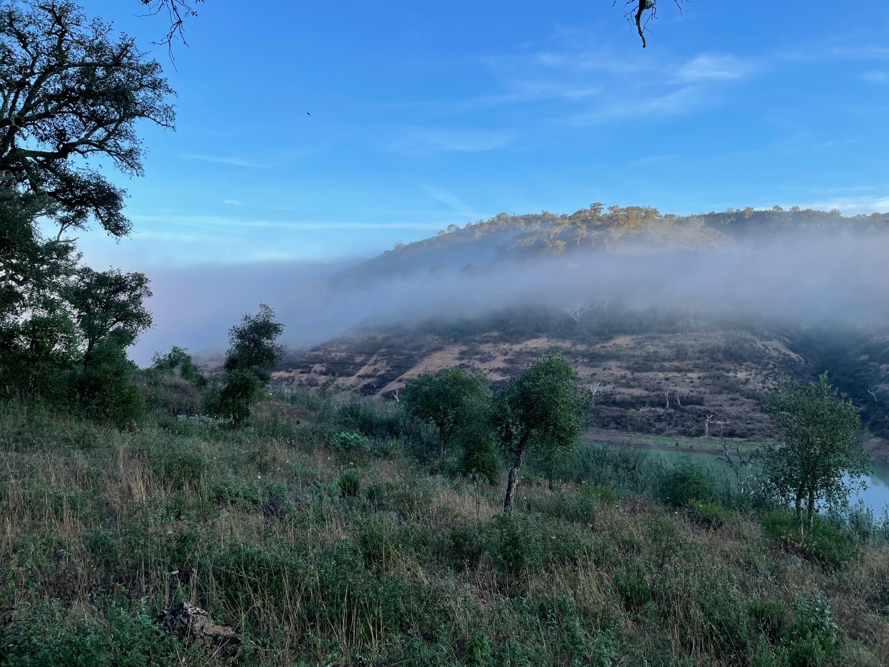 Mist coming over the ridge above the water.