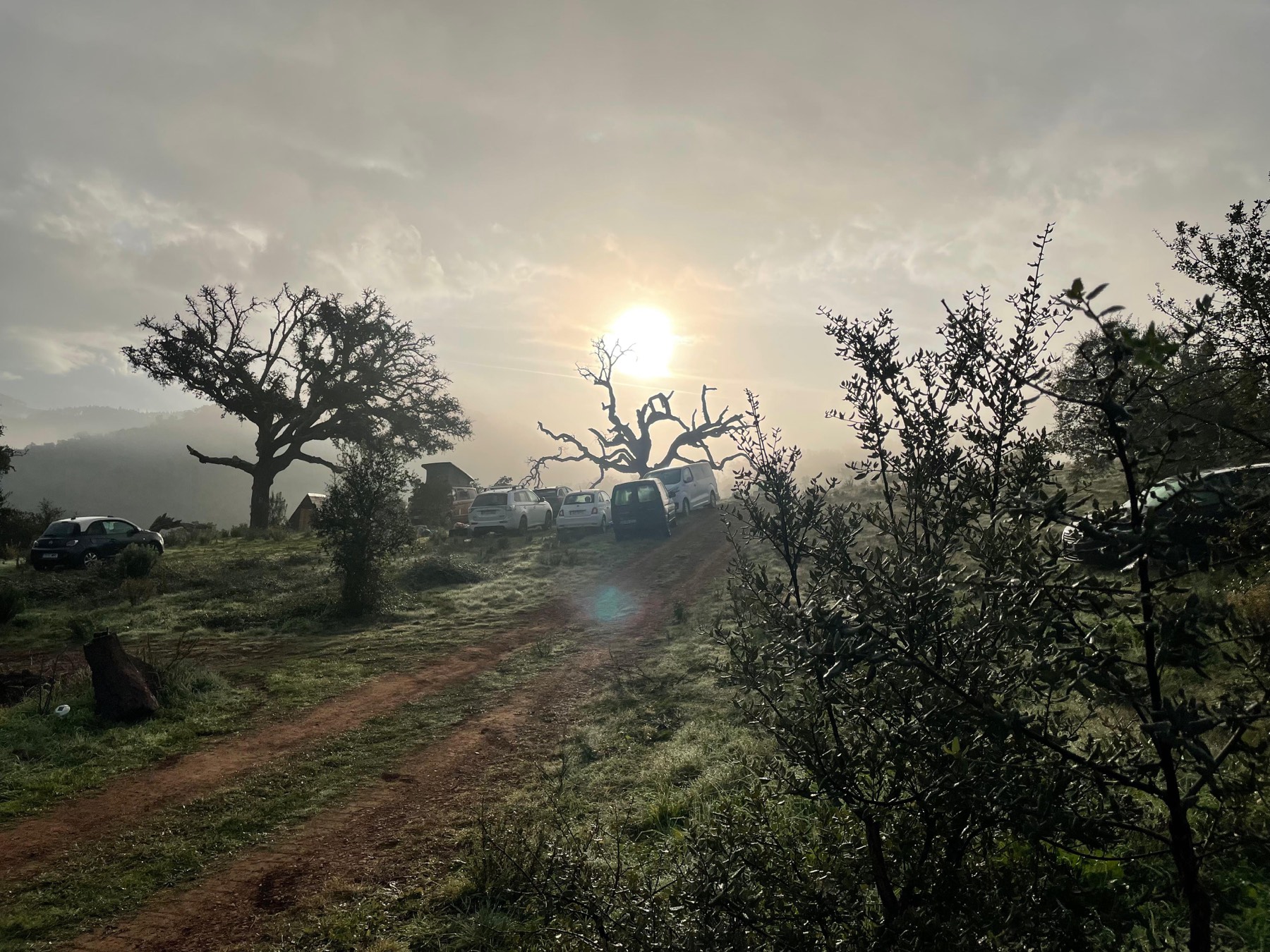 The track into site at sunrise.