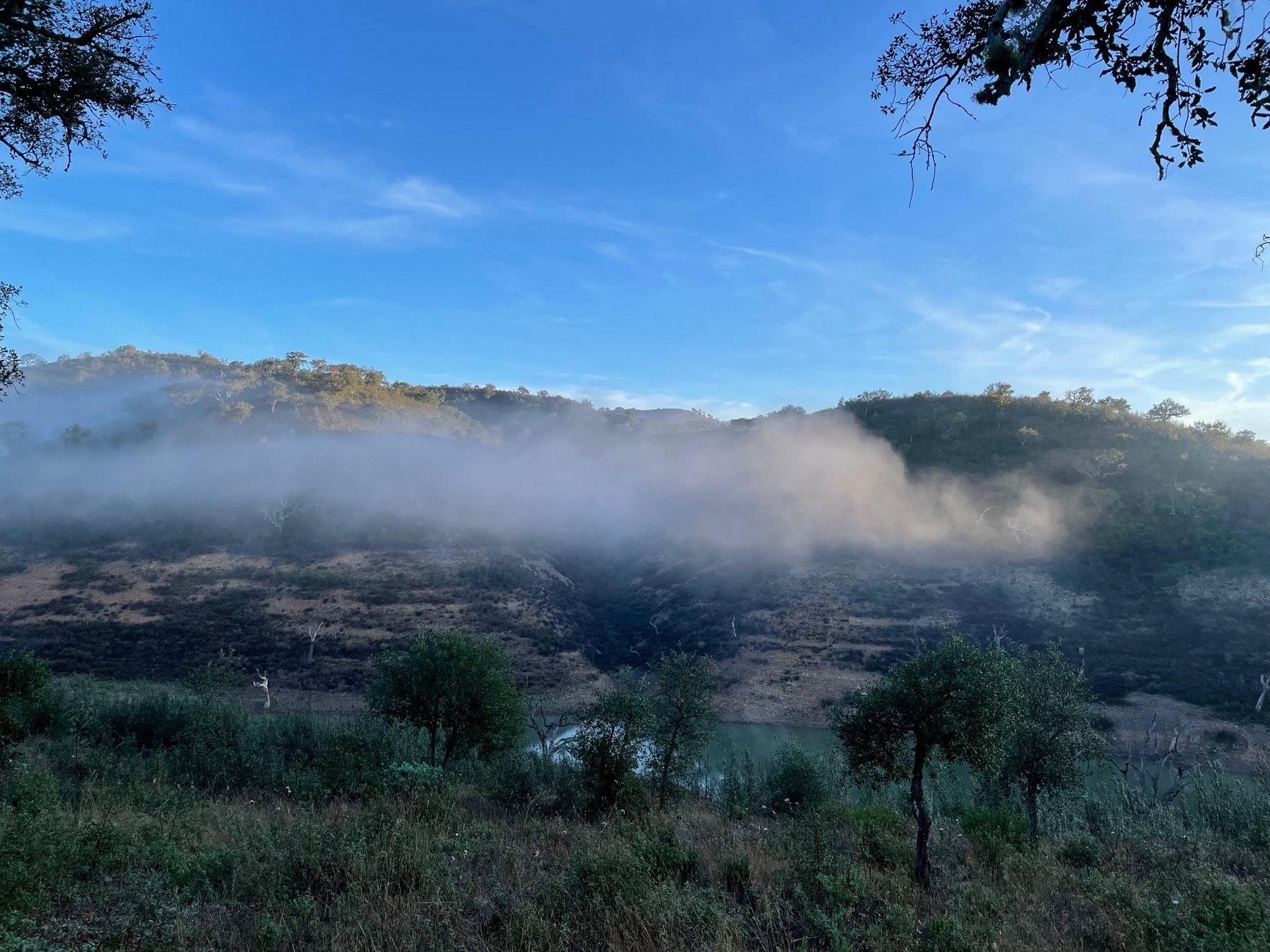 The valley half full of cloud.